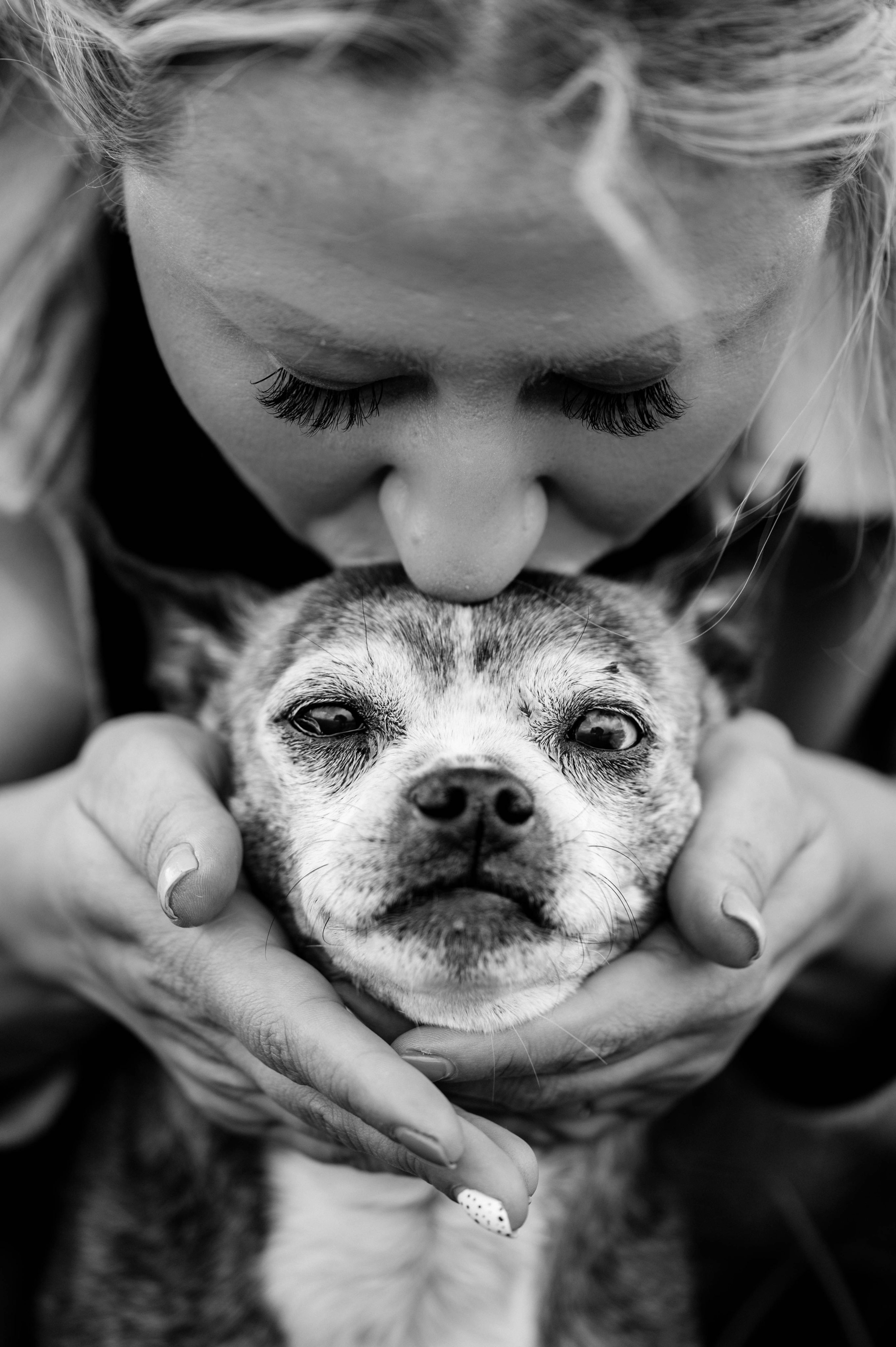 Canine Cognitive Dysfunction